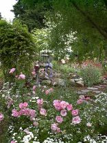 Berta's Garden